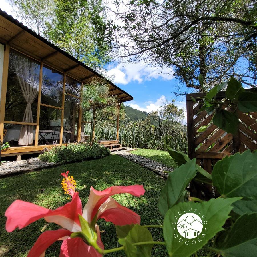 Exclusivo Cocora Con Jacuzzi Salento Quindio Villa Dış mekan fotoğraf